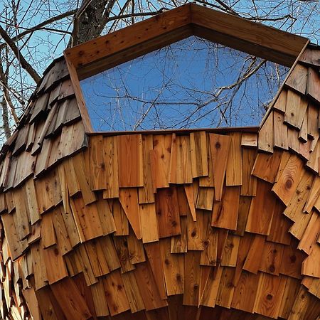 T'Glamp Bee House Rovte Exterior foto